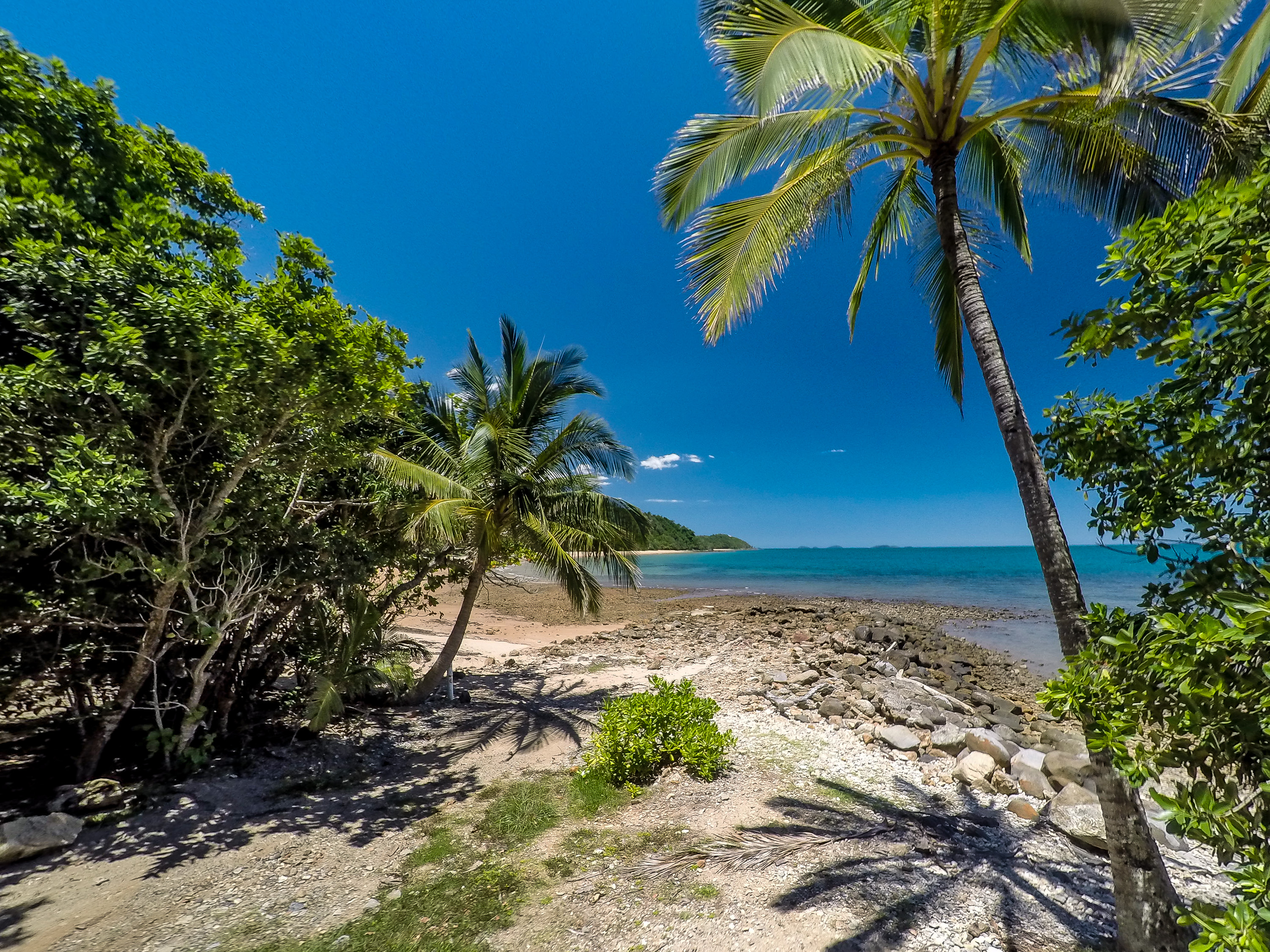 Bingil Bay Photos 6 Jan 2015 - Mission Beach